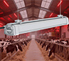 IP65 waterproof LED dairy light livestock barn lamp