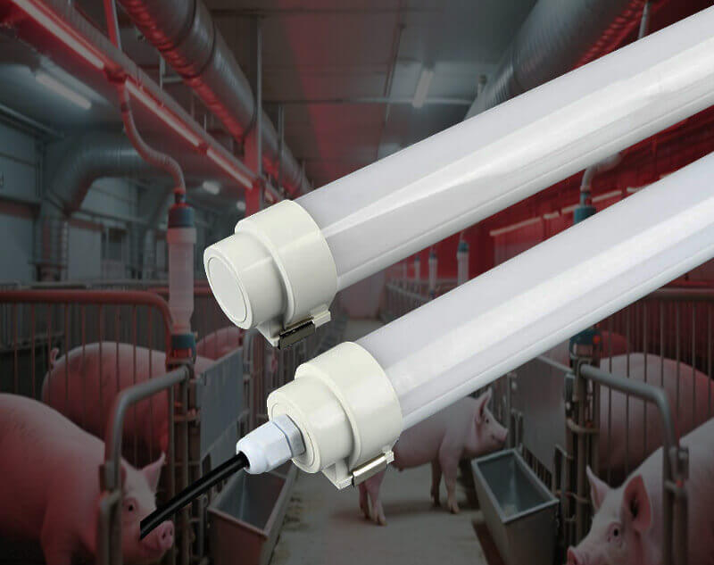 LED Swine Light, Waterproof LED Lighting for Pig Farm
