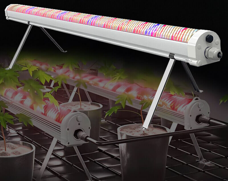 LED Linear Plant Lights Wholesale, Factory Direct Supply