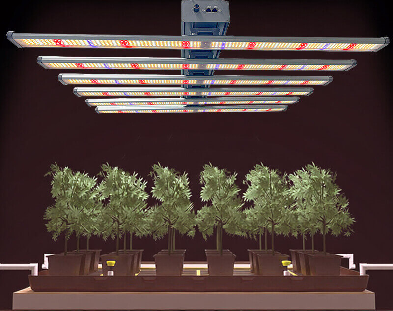 LED Octopus Plant Lights Wholesale, Manufacturer Supplier