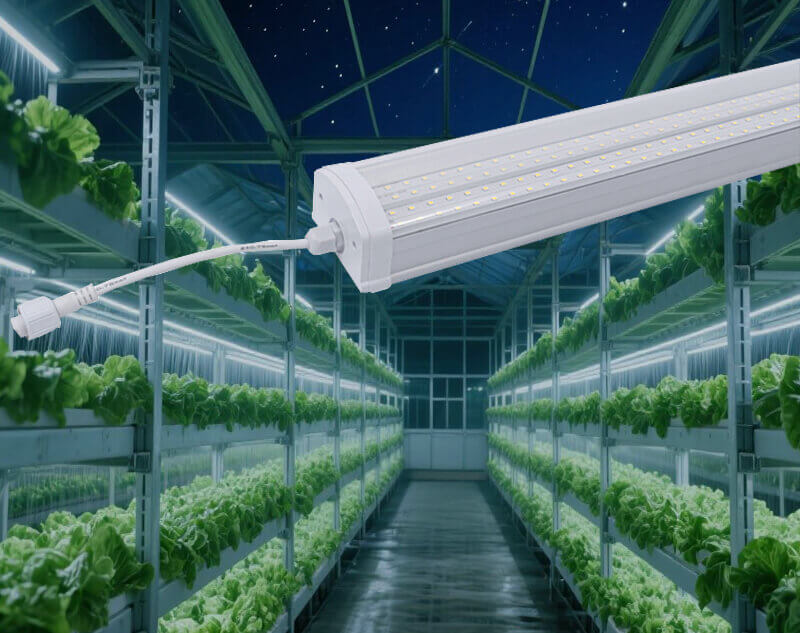 LED Tube Grow Light Full Spectrum for Seedling and Blooming
