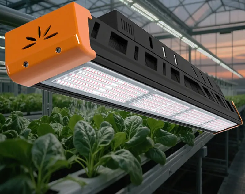LED plant light for greenhouse hydroponics